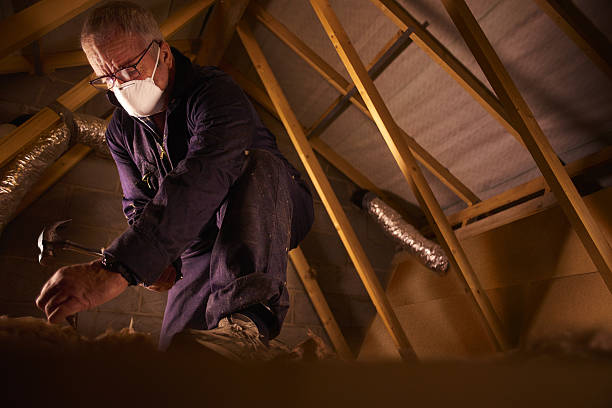 Best Insulation Inspection Services  in Hercules, CA